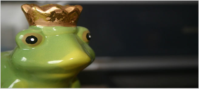 Prince Charming Frog