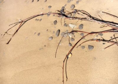 Stones and Sticks on Sand